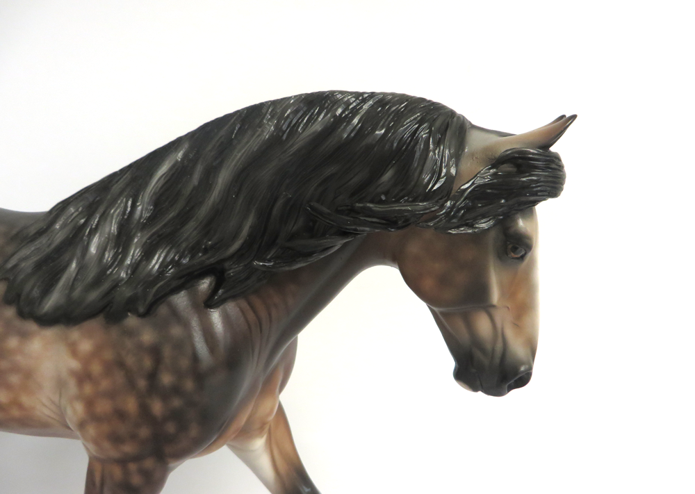 ROB ROY- OOAK DAPPLED GREY IRISH DRAFTER BY SHERYL LEISURE 3-15-19