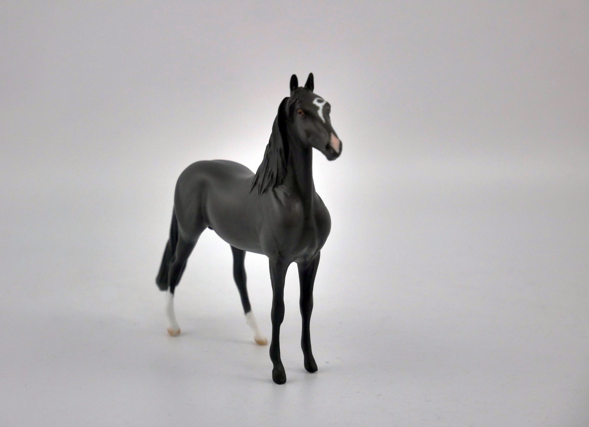 EQUILOCITY 2020 GRAB BAGS