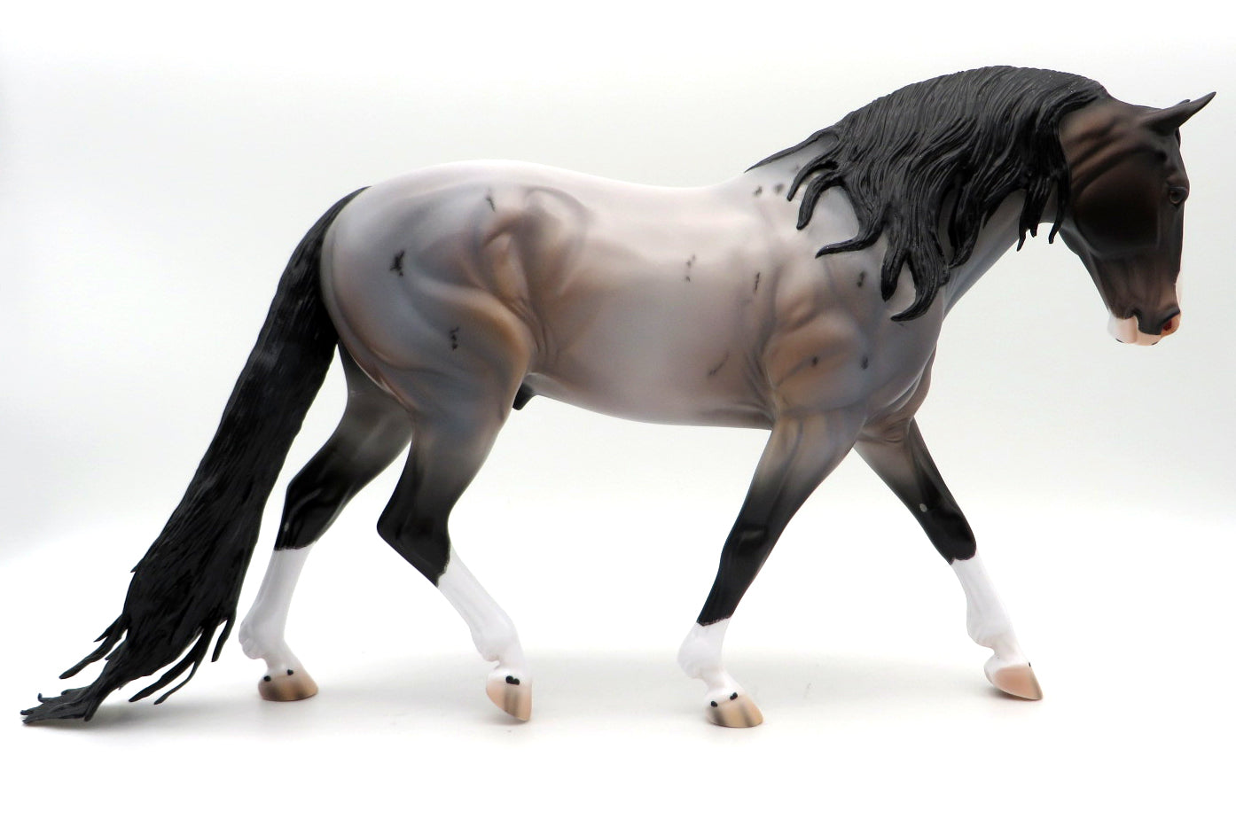 Irvine-OOAK Bay Roan Irish Draft by Caroline Boydston 10/4/21