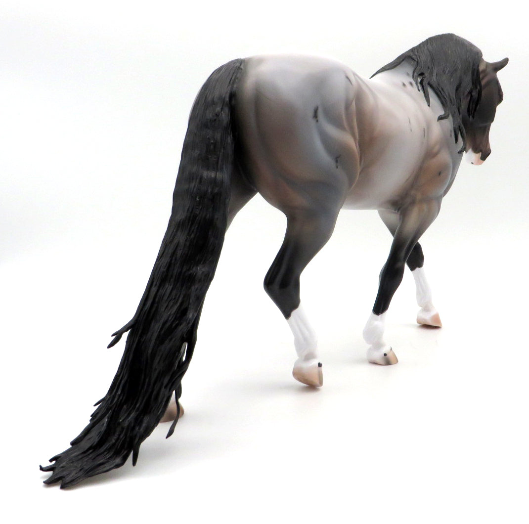 Irvine-OOAK Bay Roan Irish Draft by Caroline Boydston 10/4/21