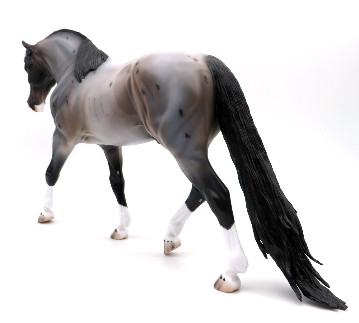 Irvine-OOAK Bay Roan Irish Draft by Caroline Boydston 10/4/21