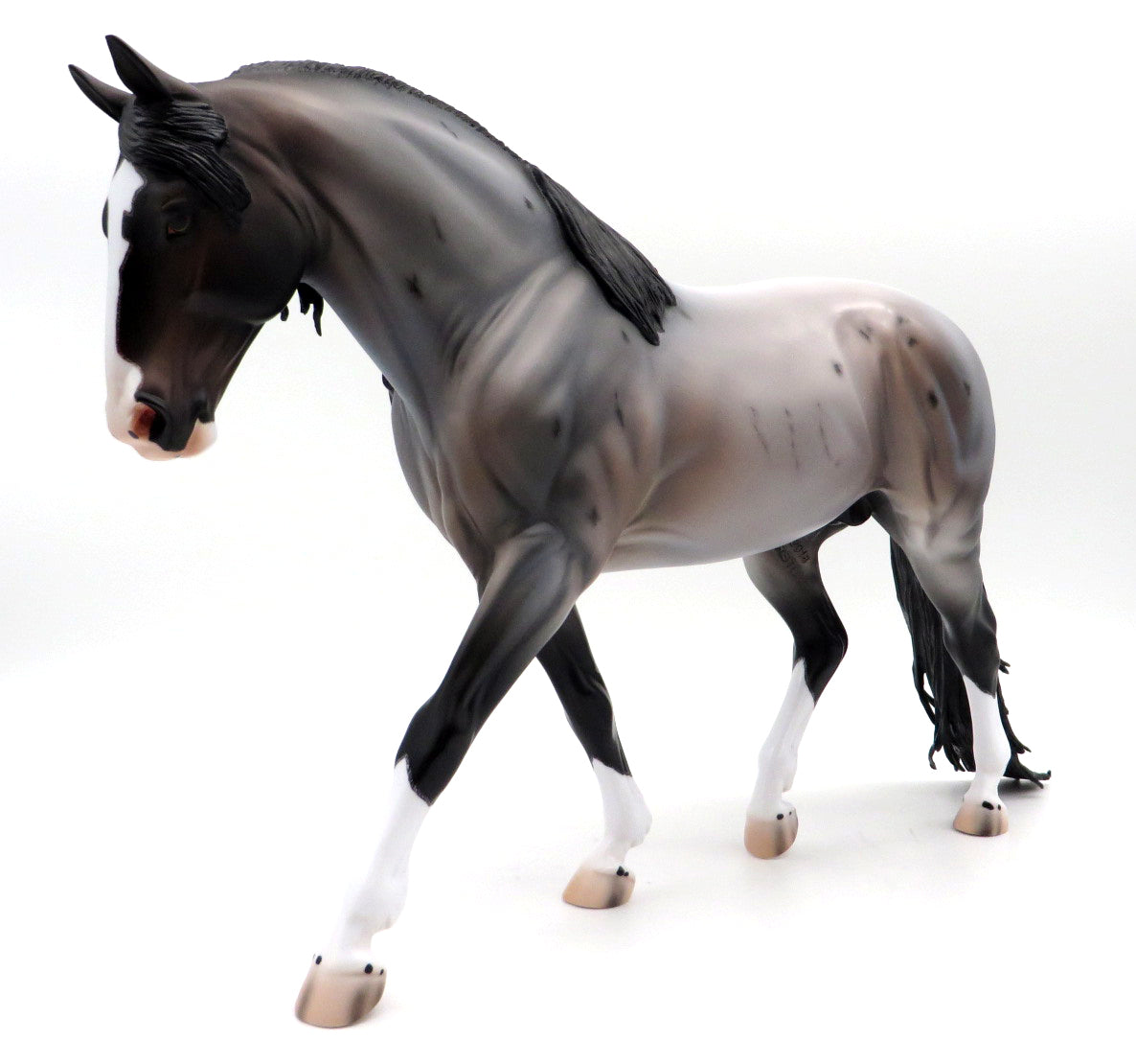 Irvine-OOAK Bay Roan Irish Draft by Caroline Boydston 10/4/21