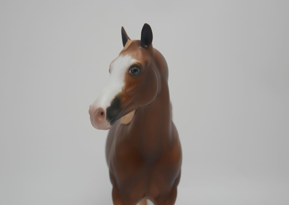 ASPIRATION -OOAK CHESTNUT SABINO  ISH MODEL HORSE BY SHERYL LEISURE 4/9/20