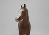 ASPIRATION -OOAK CHESTNUT SABINO  ISH MODEL HORSE BY SHERYL LEISURE 4/9/20