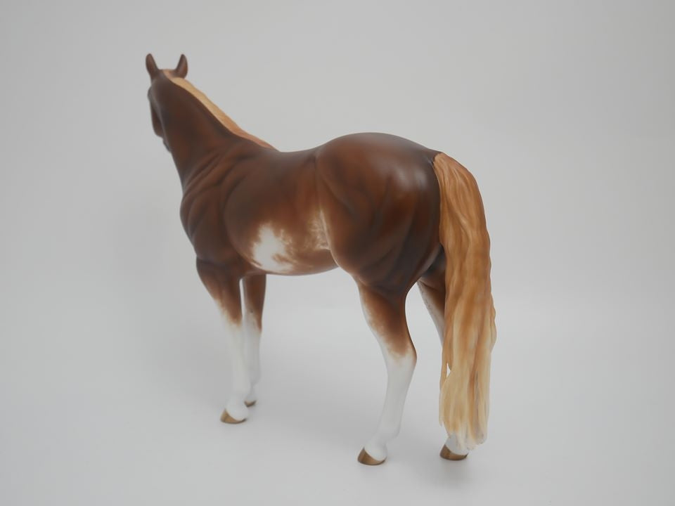 ASPIRATION -OOAK CHESTNUT SABINO  ISH MODEL HORSE BY SHERYL LEISURE 4/9/20