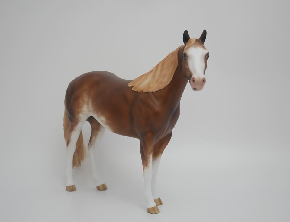 ASPIRATION -OOAK CHESTNUT SABINO  ISH MODEL HORSE BY SHERYL LEISURE 4/9/20
