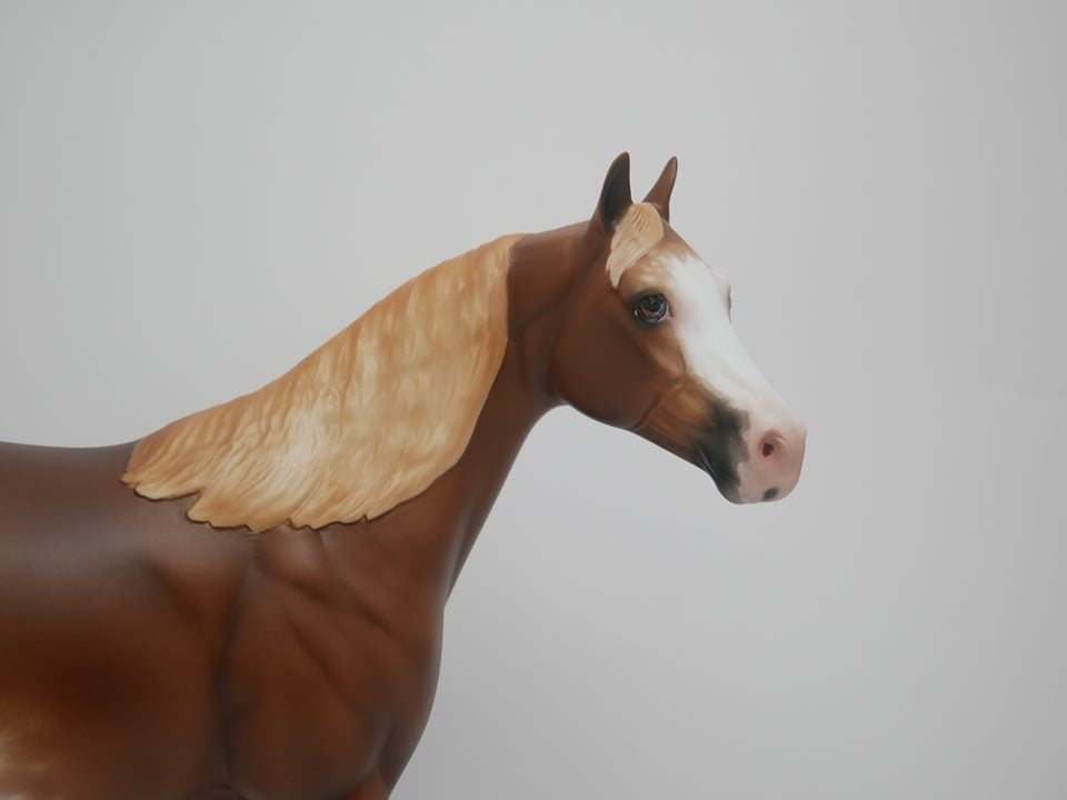 ASPIRATION -OOAK CHESTNUT SABINO  ISH MODEL HORSE BY SHERYL LEISURE 4/9/20