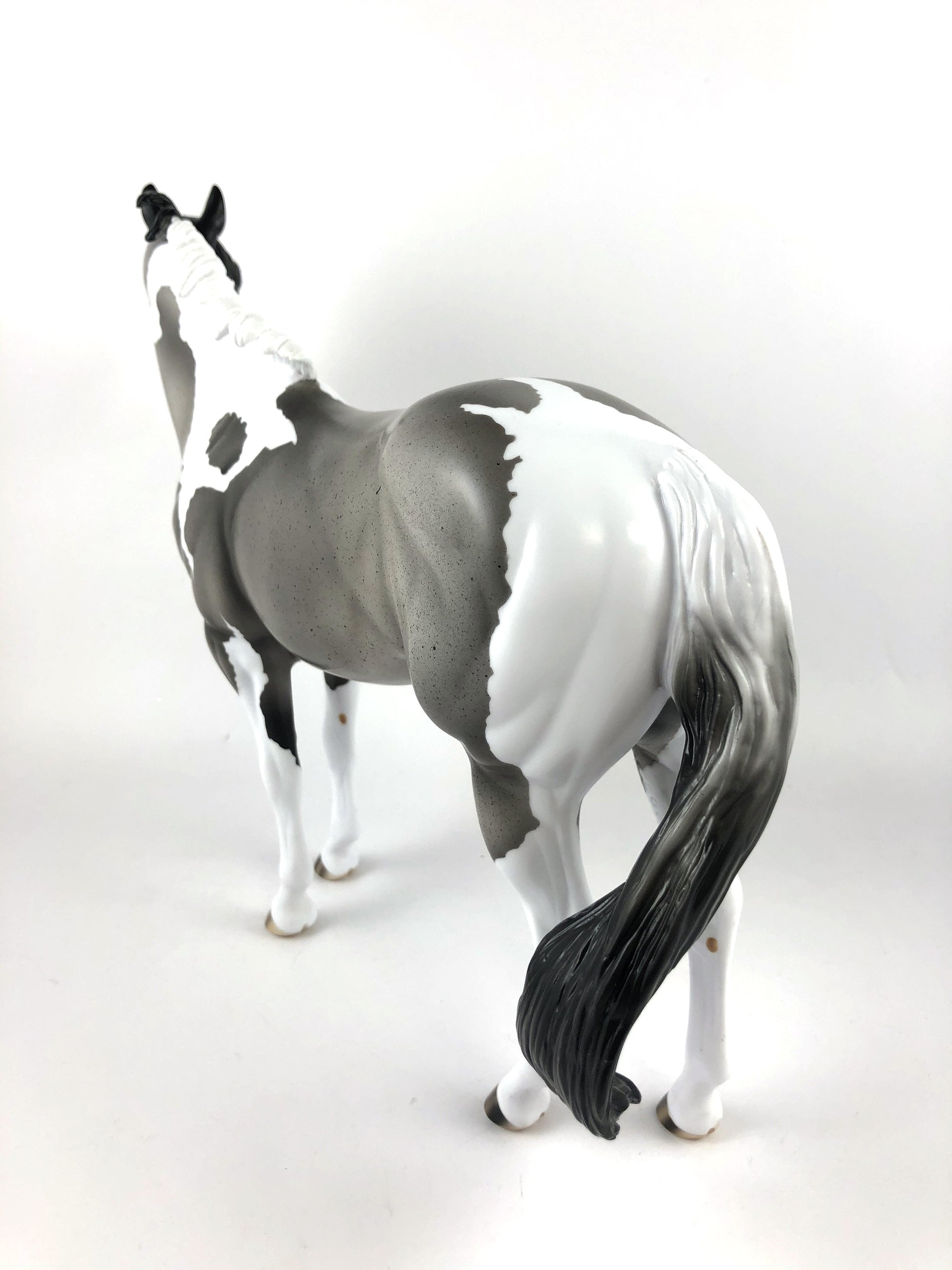 ZILLA  - OOAK BLUE ROAN PINTO CM ISH MODEL HORSE BY AUDREY DIXON MM19
