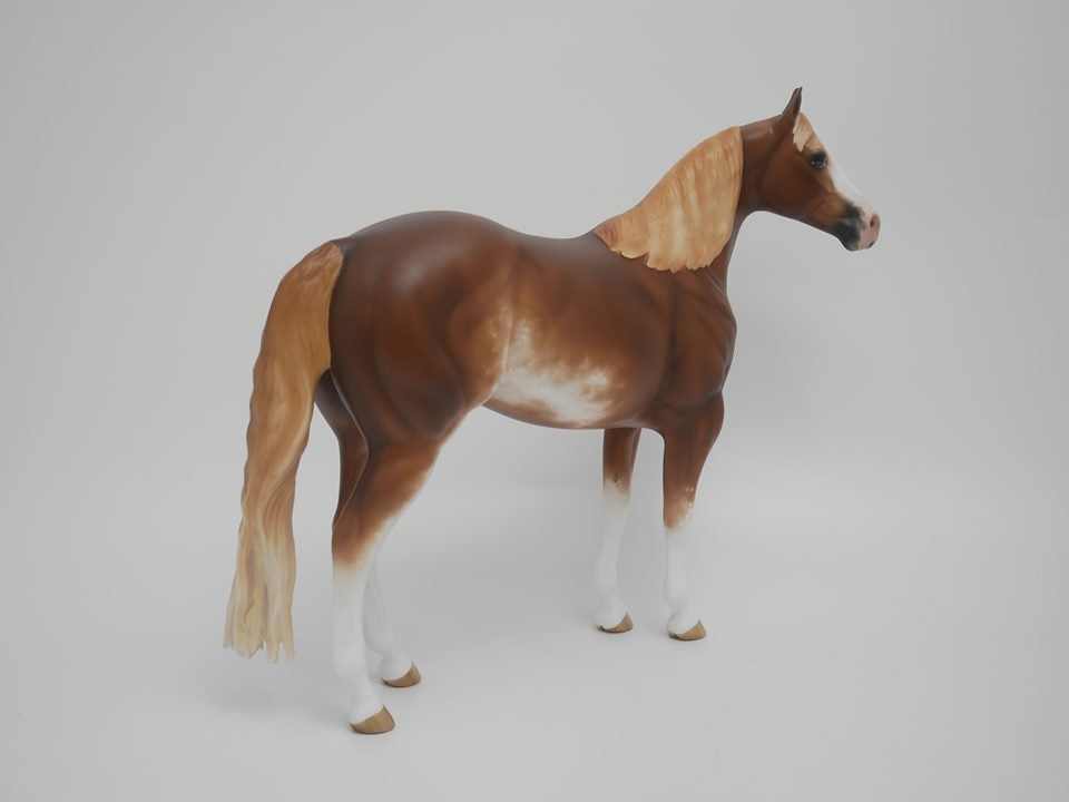 ASPIRATION -OOAK CHESTNUT SABINO  ISH MODEL HORSE BY SHERYL LEISURE 4/9/20
