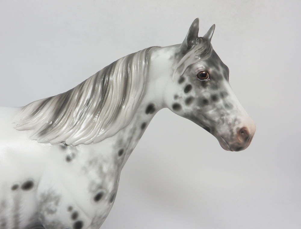 FREEDOM REIGNS- OOAK APPALOOSA ISH BY SHERYL LEISURE 2-20-19