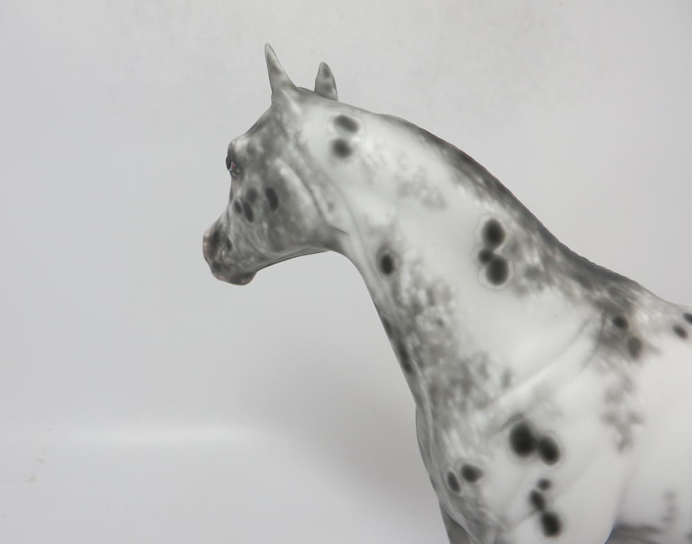 FREEDOM REIGNS- OOAK APPALOOSA ISH BY SHERYL LEISURE 2-20-19
