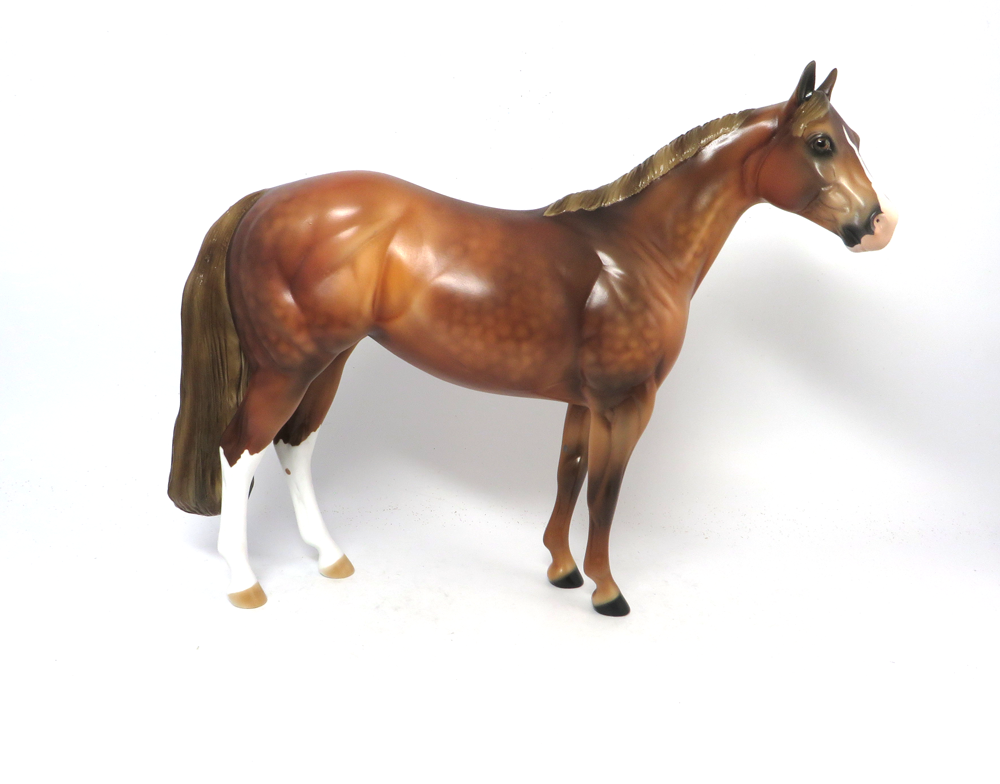 CHEERLEADER- LE-14 CHESNUT ISH BY AUDREY DIXON SB19