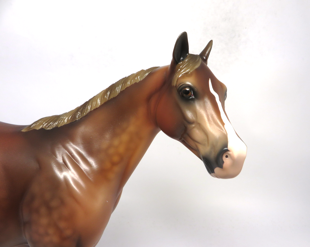 CHEERLEADER- LE-14 CHESNUT ISH BY AUDREY DIXON SB19