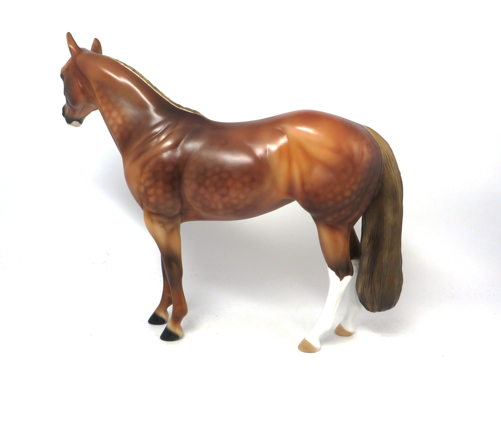 CHEERLEADER- LE-14 CHESNUT ISH BY AUDREY DIXON SB19