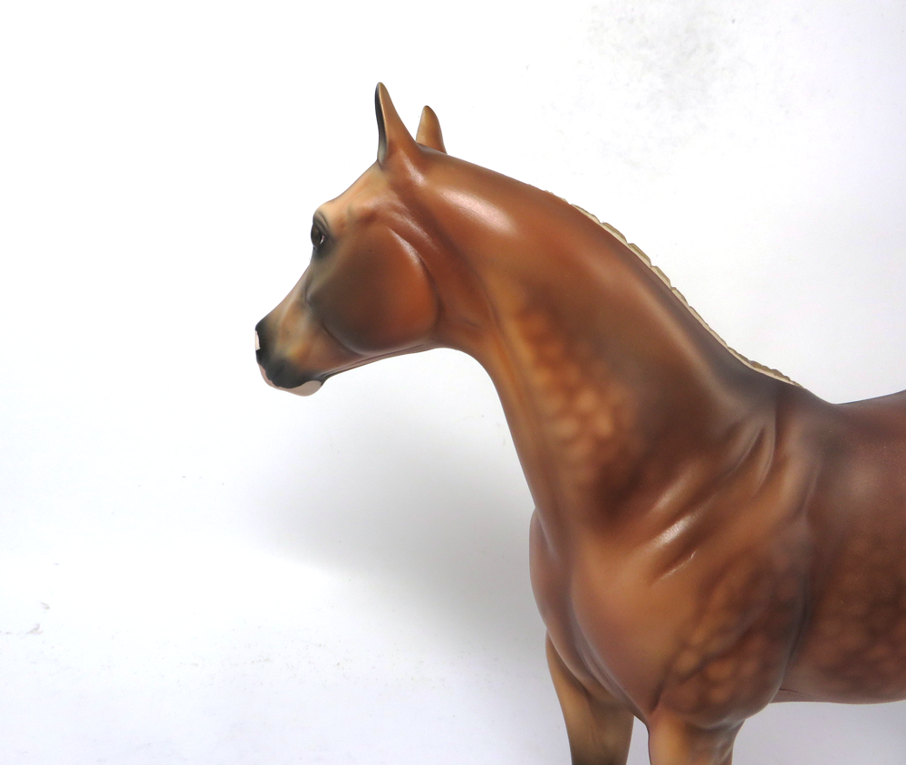 CHEERLEADER- LE-14 CHESNUT ISH BY AUDREY DIXON SB19