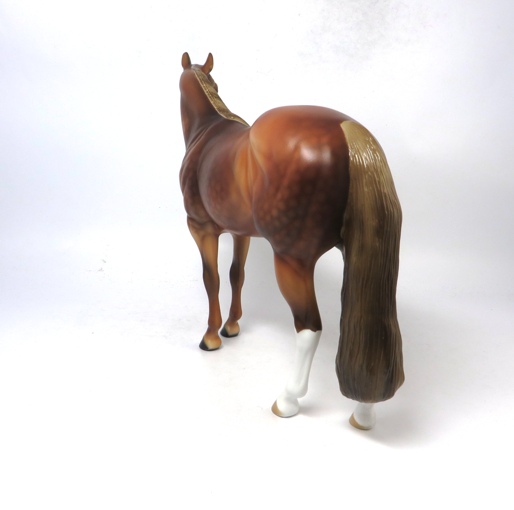 CHEERLEADER- LE-14 CHESNUT ISH BY AUDREY DIXON SB19