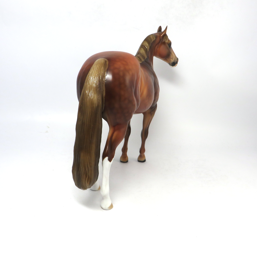 CHEERLEADER- LE-14 CHESNUT ISH BY AUDREY DIXON SB19