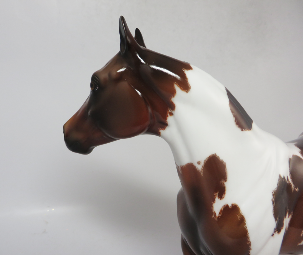 SPOT - OOAK NON-CUSTOM ISH BAY TOBIANO ETCHED WITH CAT TRACKS BY JULIE KEIM SB19