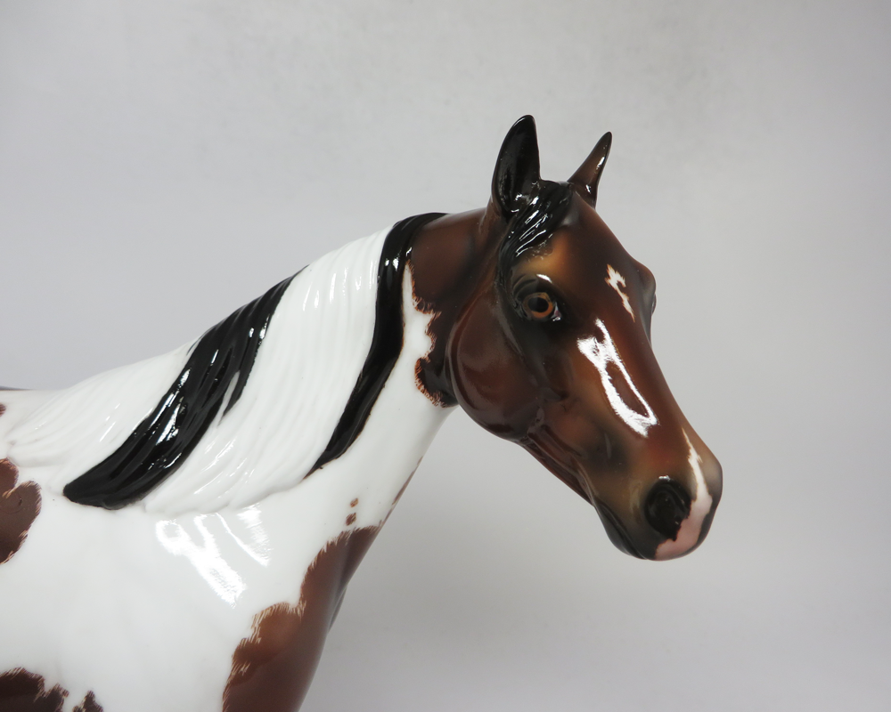 SPOT - OOAK NON-CUSTOM ISH BAY TOBIANO ETCHED WITH CAT TRACKS BY JULIE KEIM SB19