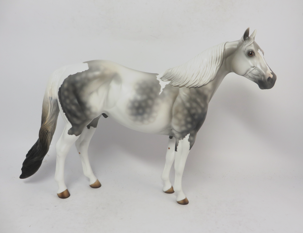 TORNADO--- LE-4 DAPPLED DARK GREY ISH GELDING BY MISSY FOX 2-22-19