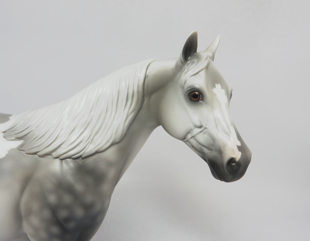 TORNADO--- LE-4 DAPPLED DARK GREY ISH GELDING BY MISSY FOX 2-22-19