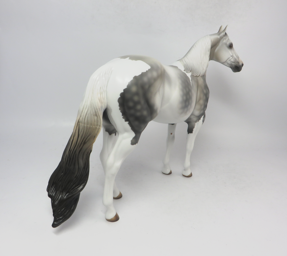 TORNADO--- LE-4 DAPPLED DARK GREY ISH GELDING BY MISSY FOX 2-22-19