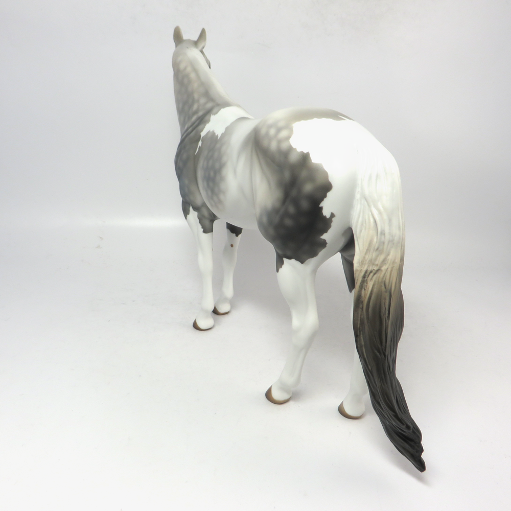 TORNADO--- LE-4 DAPPLED DARK GREY ISH GELDING BY MISSY FOX 2-22-19