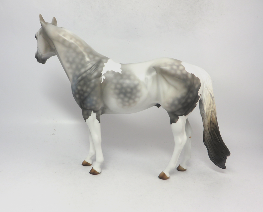 TORNADO--- LE-4 DAPPLED DARK GREY ISH GELDING BY MISSY FOX 2-22-19