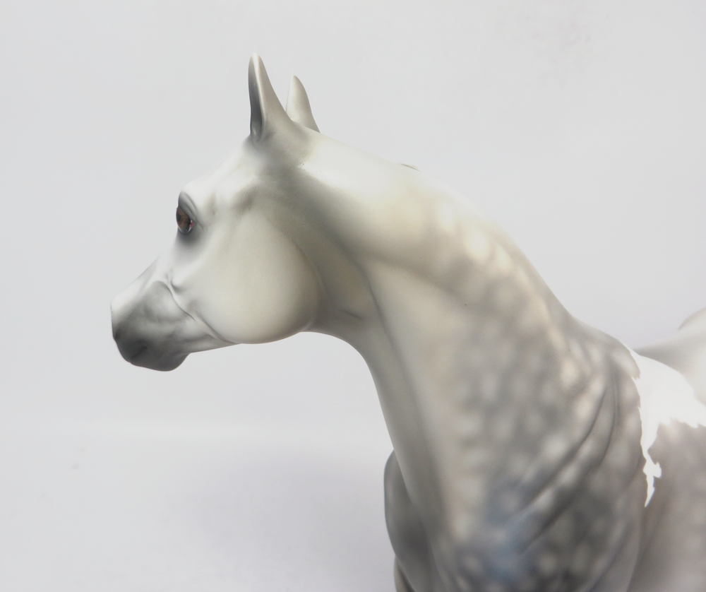 TORNADO--- LE-4 DAPPLED DARK GREY ISH GELDING BY MISSY FOX 2-22-19