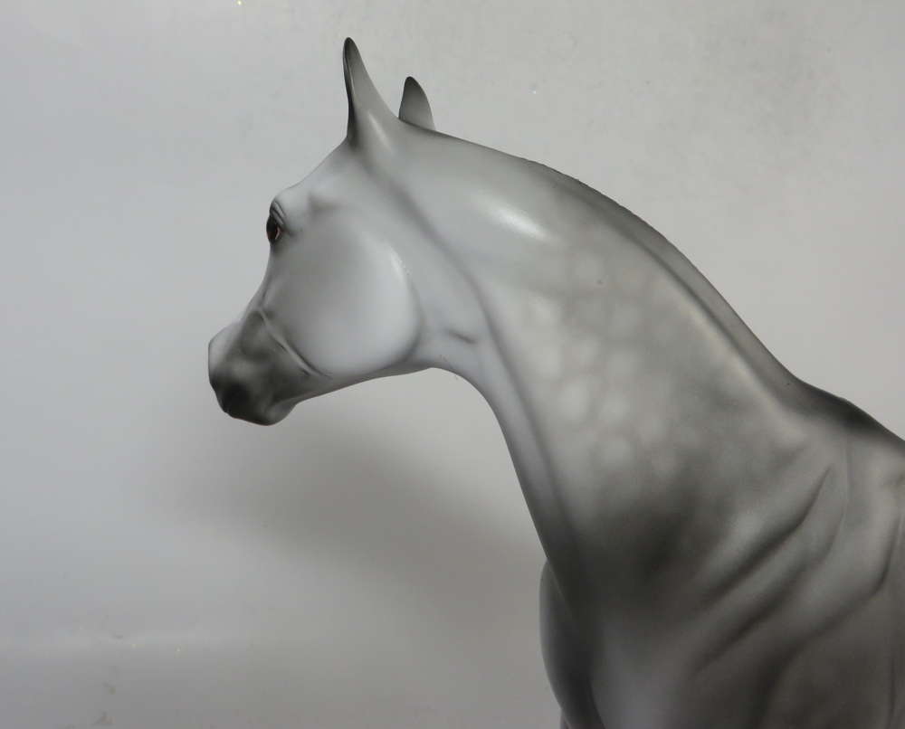 peter stone dapple grey