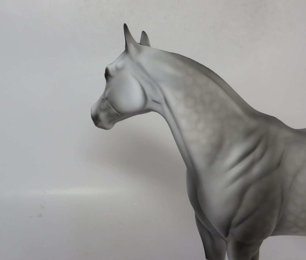 dapple grey ISH peter stone