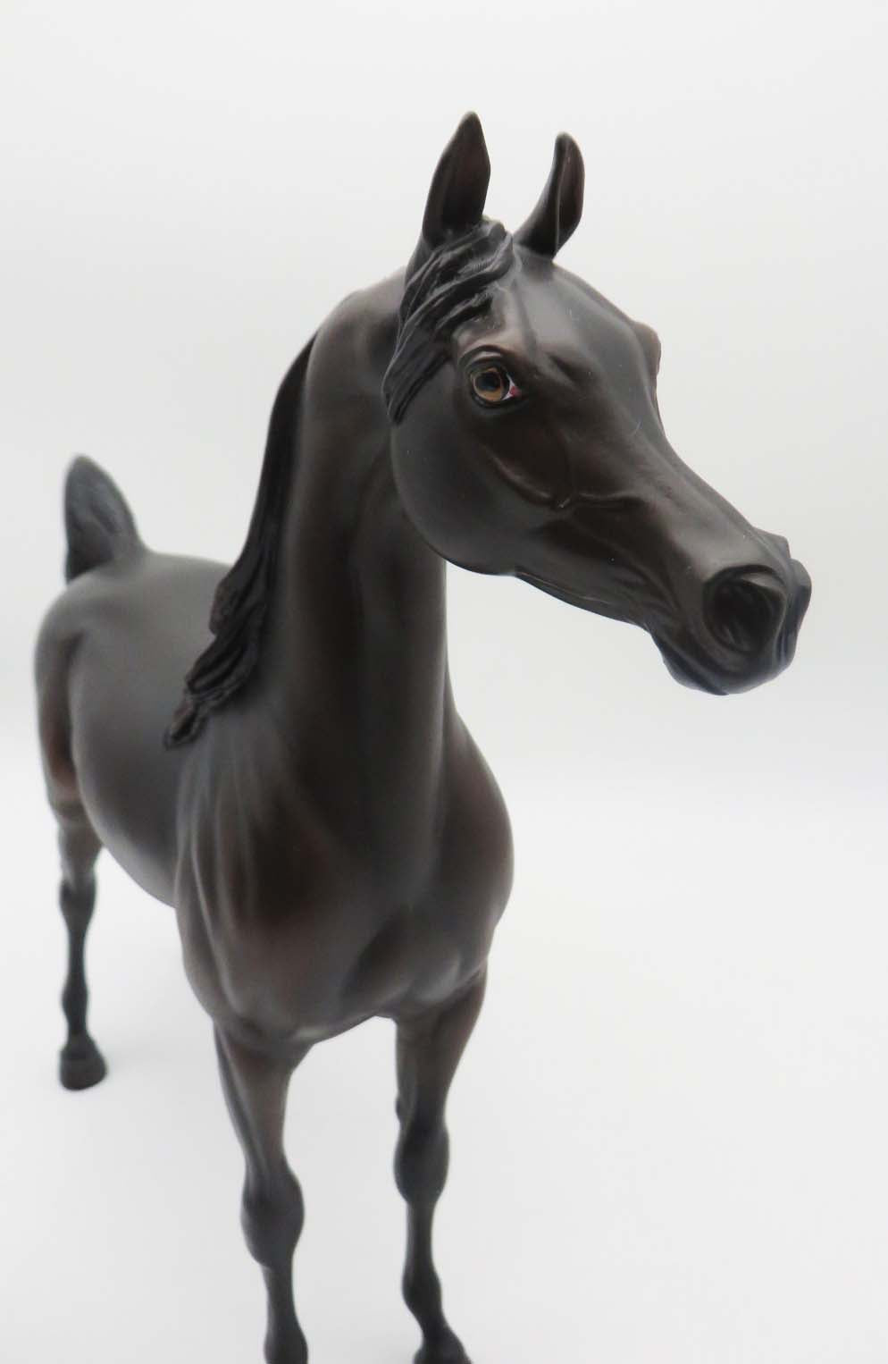 Itzcuintli  -OOAK - Dark Bay Zolo Inspired Arabian By Ellen Robbins - P&amp;C 23