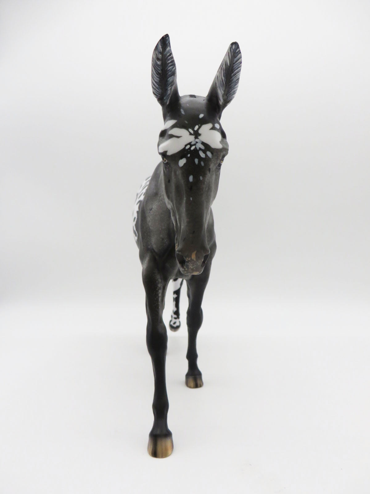 Jailbreak - OOAK Leopard Spotted Blanket Appaloosa Mule By Myla Pearce 9/30/22