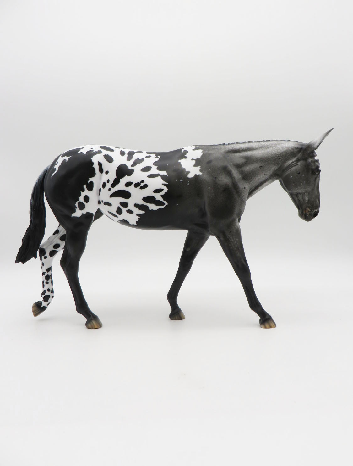 Jailbreak - OOAK Leopard Spotted Blanket Appaloosa Mule By Myla Pearce 9/30/22