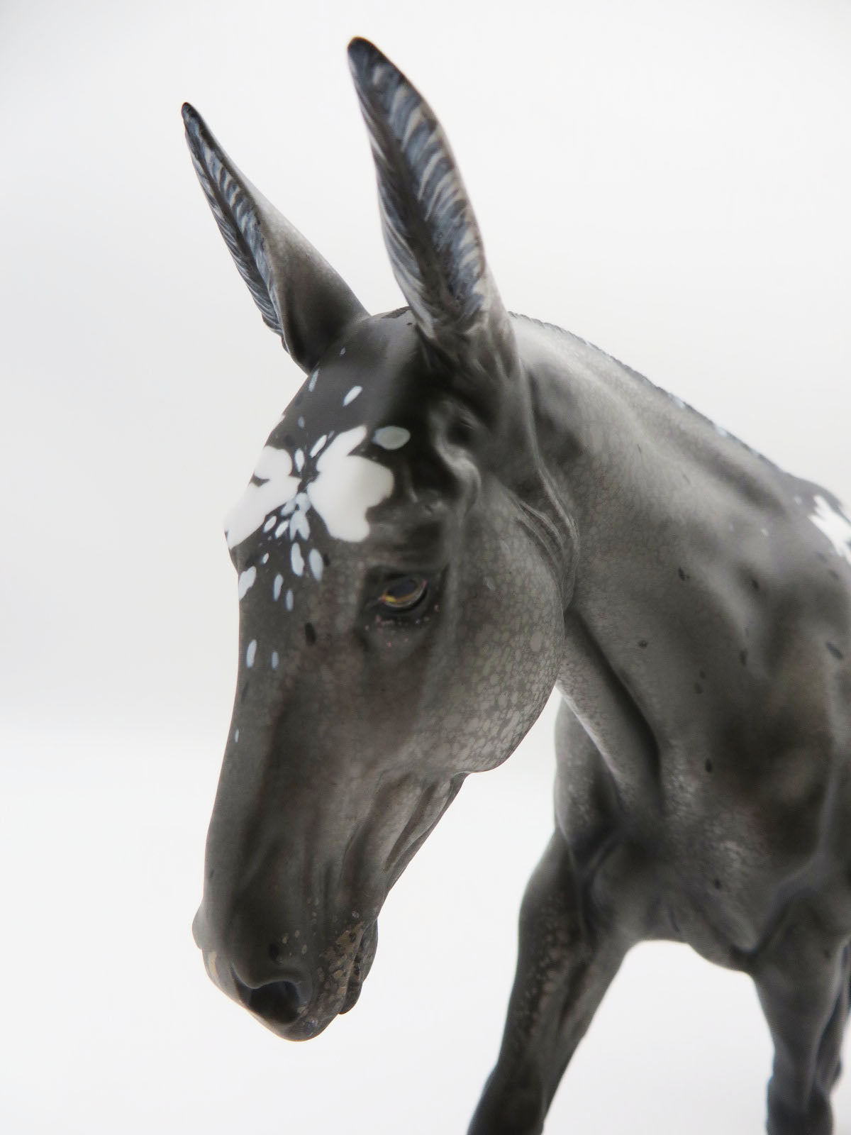 Jailbreak - OOAK Leopard Spotted Blanket Appaloosa Mule By Myla Pearce 9/30/22