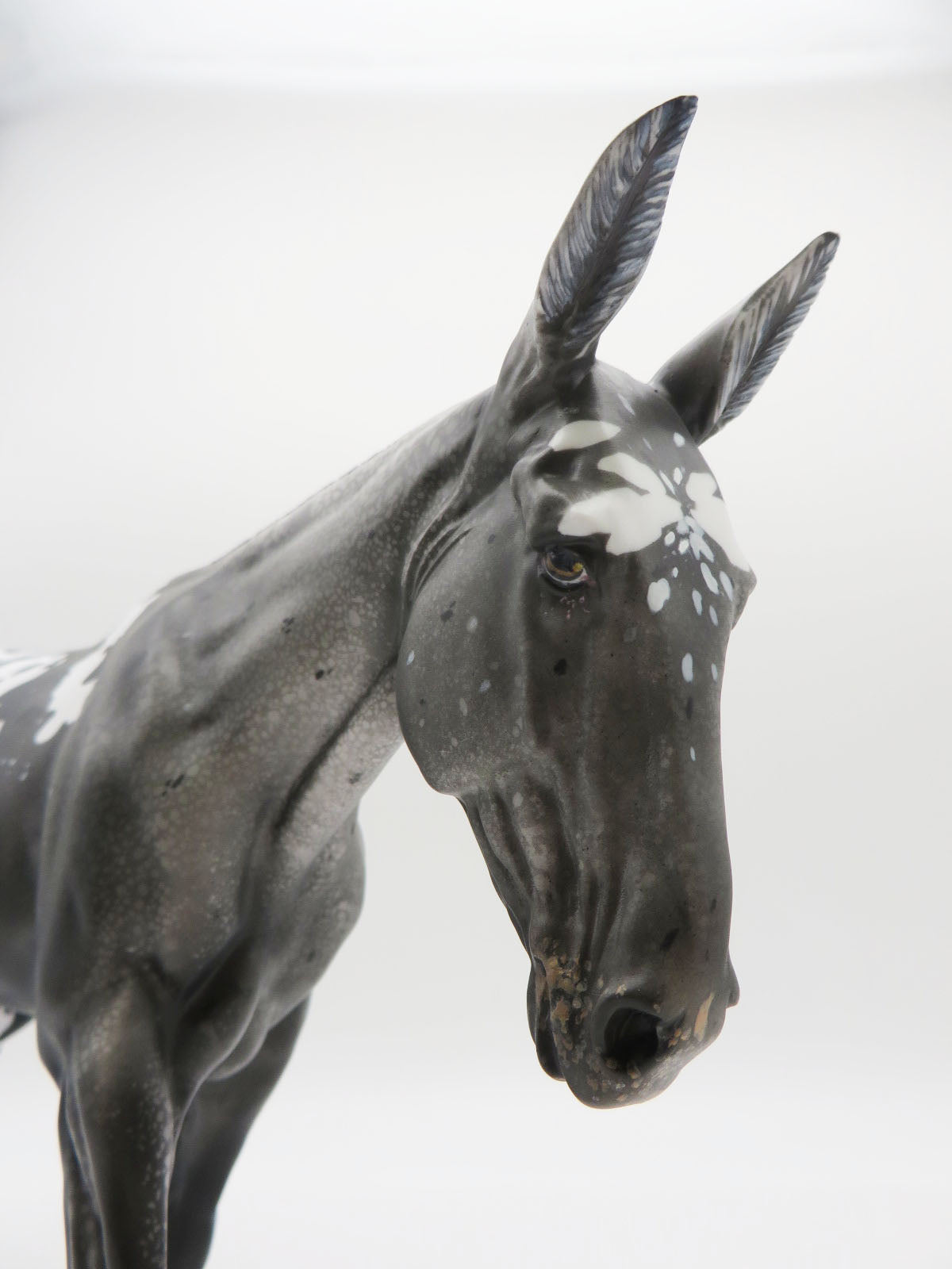 Jailbreak - OOAK Leopard Spotted Blanket Appaloosa Mule By Myla Pearce 9/30/22