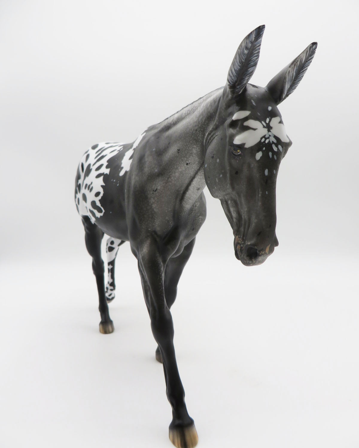 Jailbreak - OOAK Leopard Spotted Blanket Appaloosa Mule By Myla Pearce 9/30/22