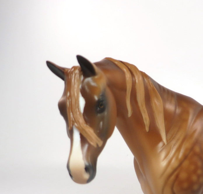 JASMINE-LE-? DAPPLE CHESTNUT ARABIAN MARE PEBBLES  SILVER LOYALTY RELEASE  **SILVER CLUB**