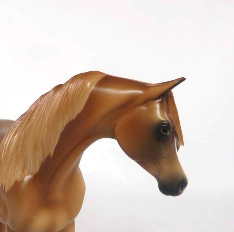 JASMINE-LE-? DAPPLE CHESTNUT ARABIAN MARE PEBBLES  SILVER LOYALTY RELEASE  **SILVER CLUB**