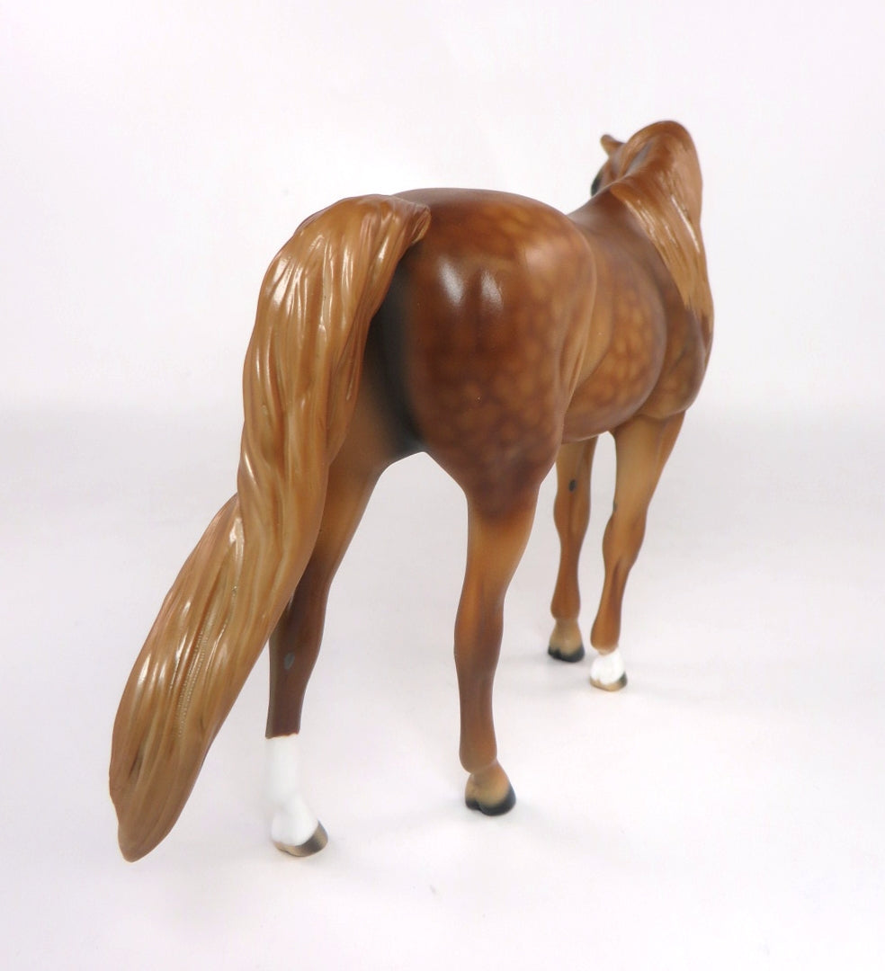 JASMINE-LE-? DAPPLE CHESTNUT ARABIAN MARE PEBBLES  SILVER LOYALTY RELEASE  **SILVER CLUB**