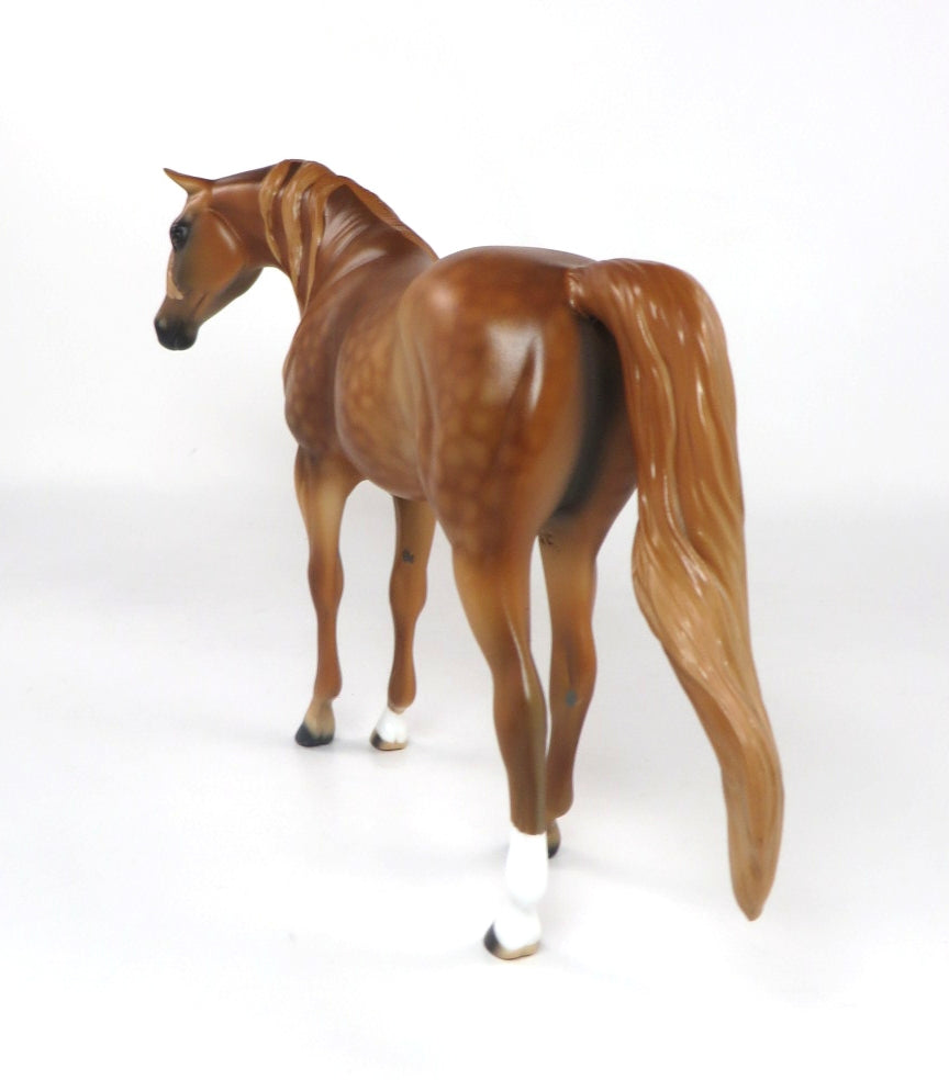 JASMINE-LE-? DAPPLE CHESTNUT ARABIAN MARE PEBBLES  SILVER LOYALTY RELEASE  **SILVER CLUB**