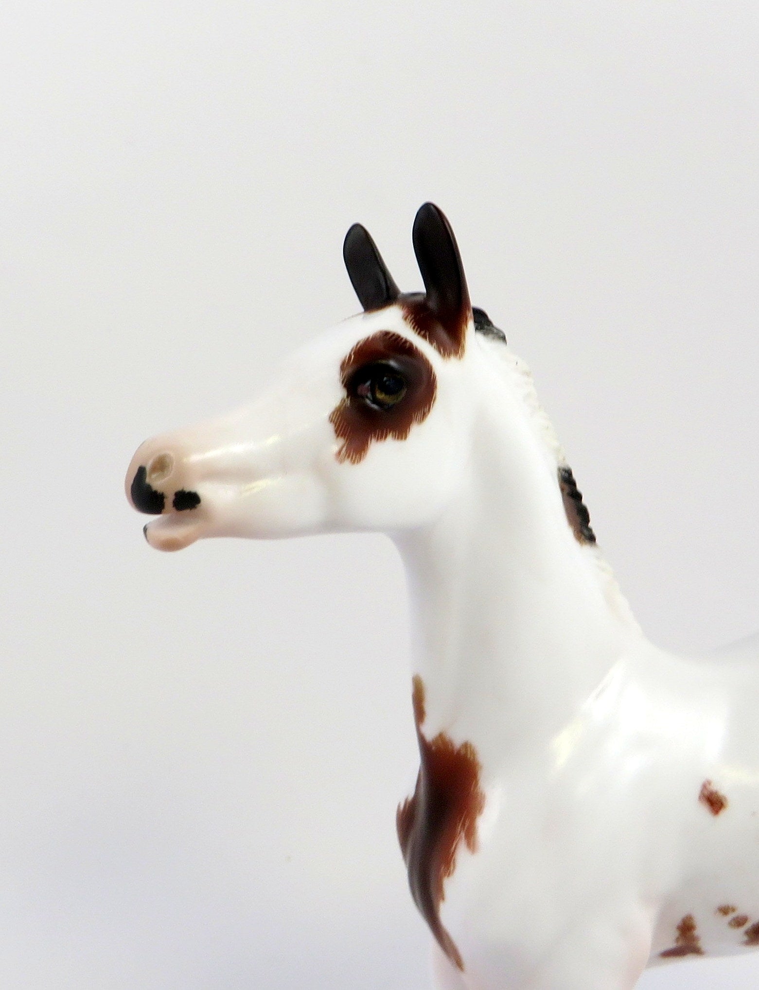 JOBBA-OOAK BAY OVERO ARABIAN FOAL MODEL HORSE BY JULIE KIEM EQ 19