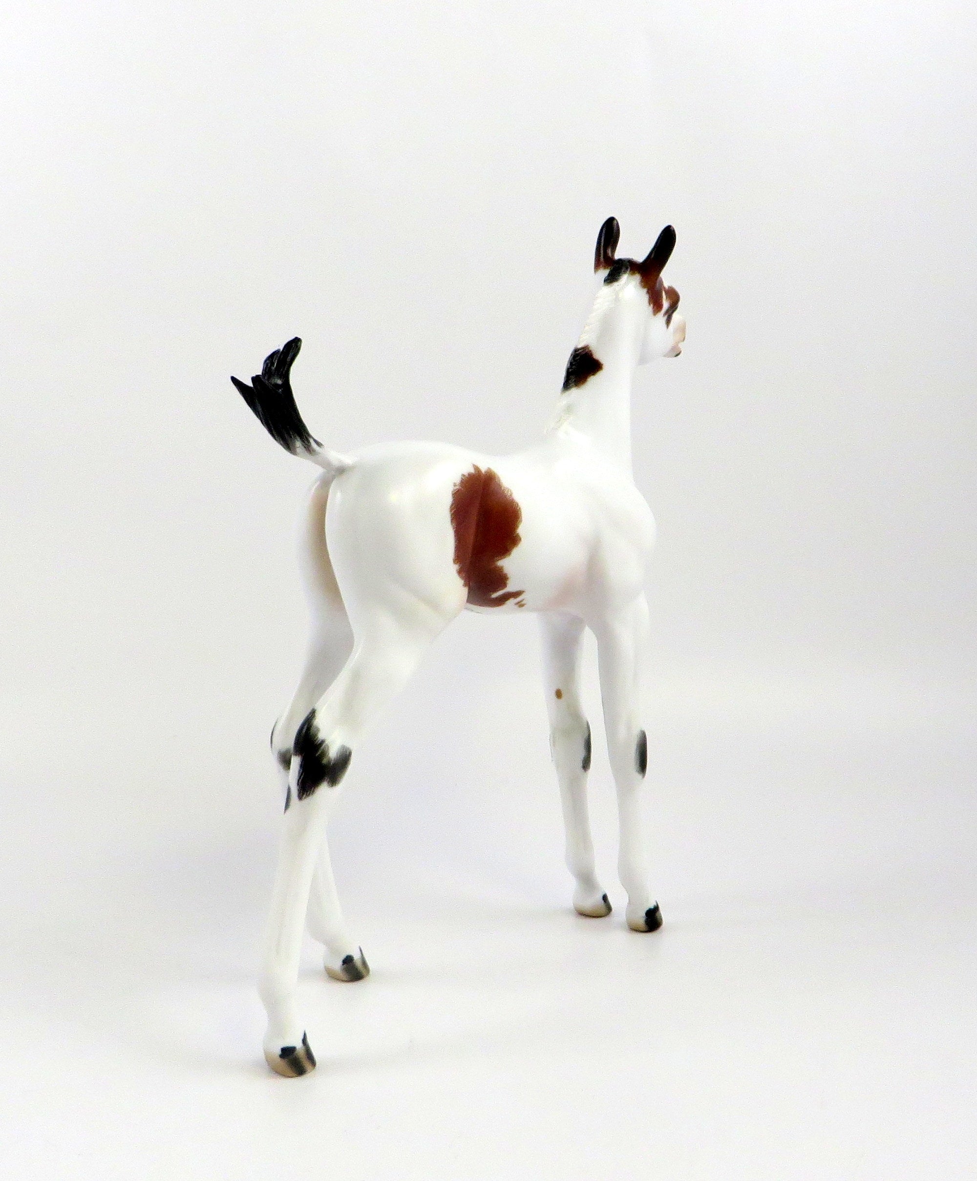 JOBBA-OOAK BAY OVERO ARABIAN FOAL MODEL HORSE BY JULIE KIEM EQ 19