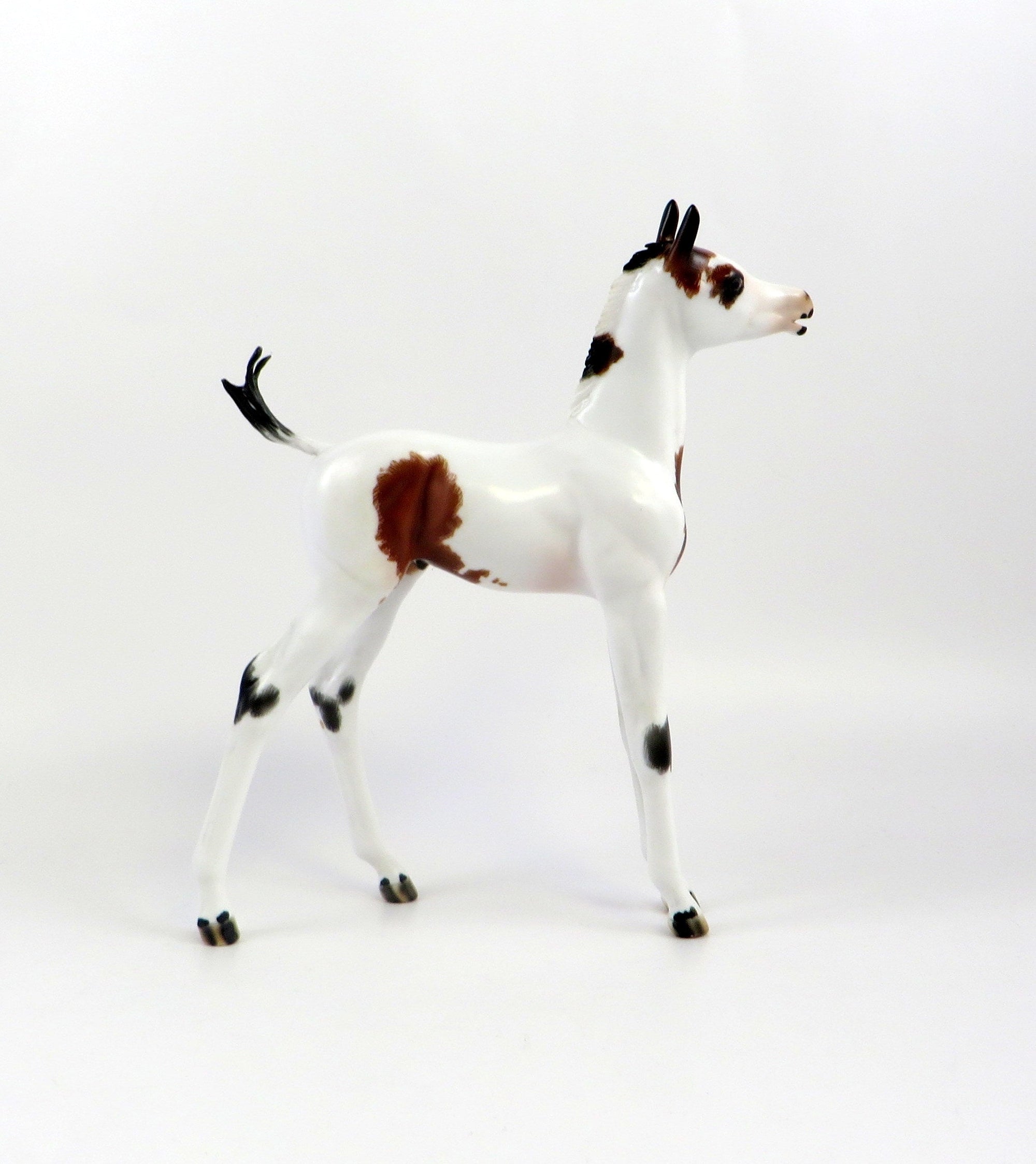 JOBBA-OOAK BAY OVERO ARABIAN FOAL MODEL HORSE BY JULIE KIEM EQ 19