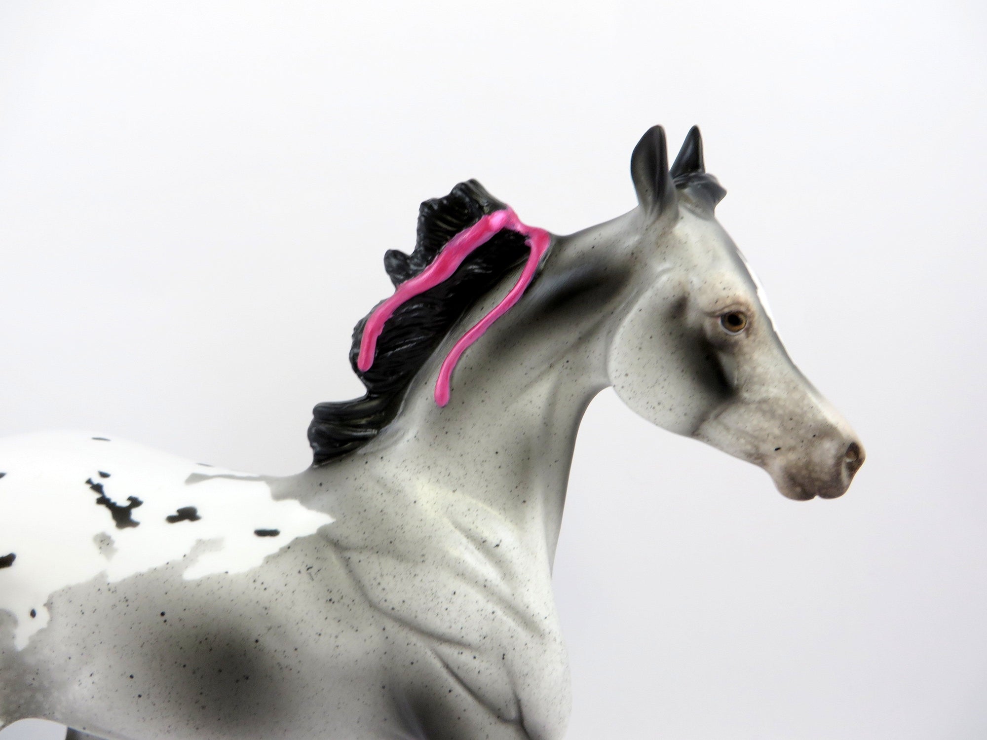 JOCELIN-OOAK DAPPLE GREY APPALOOSA YEARLING EQ 2019