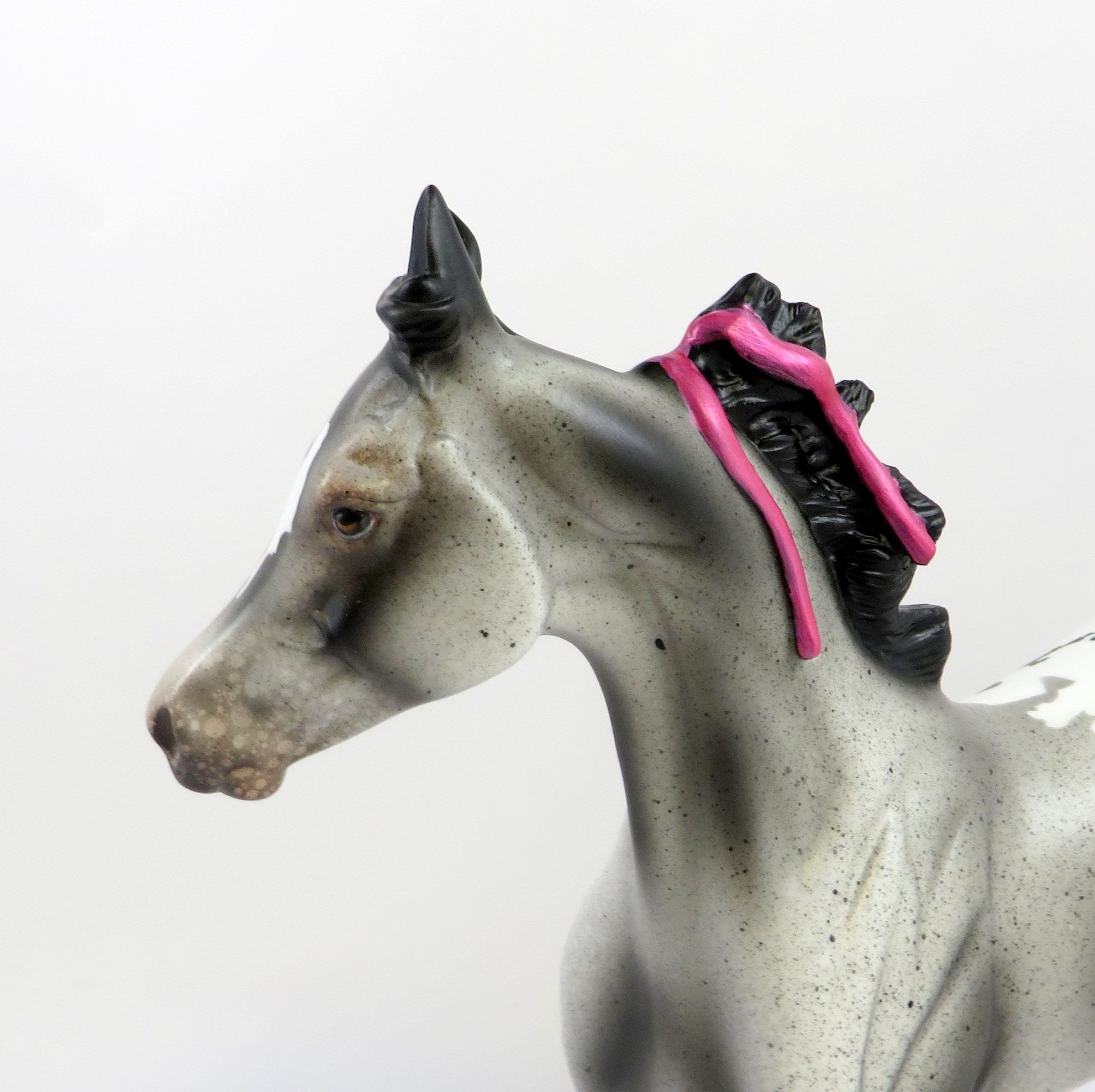 JOCELIN-OOAK DAPPLE GREY APPALOOSA YEARLING EQ 2019