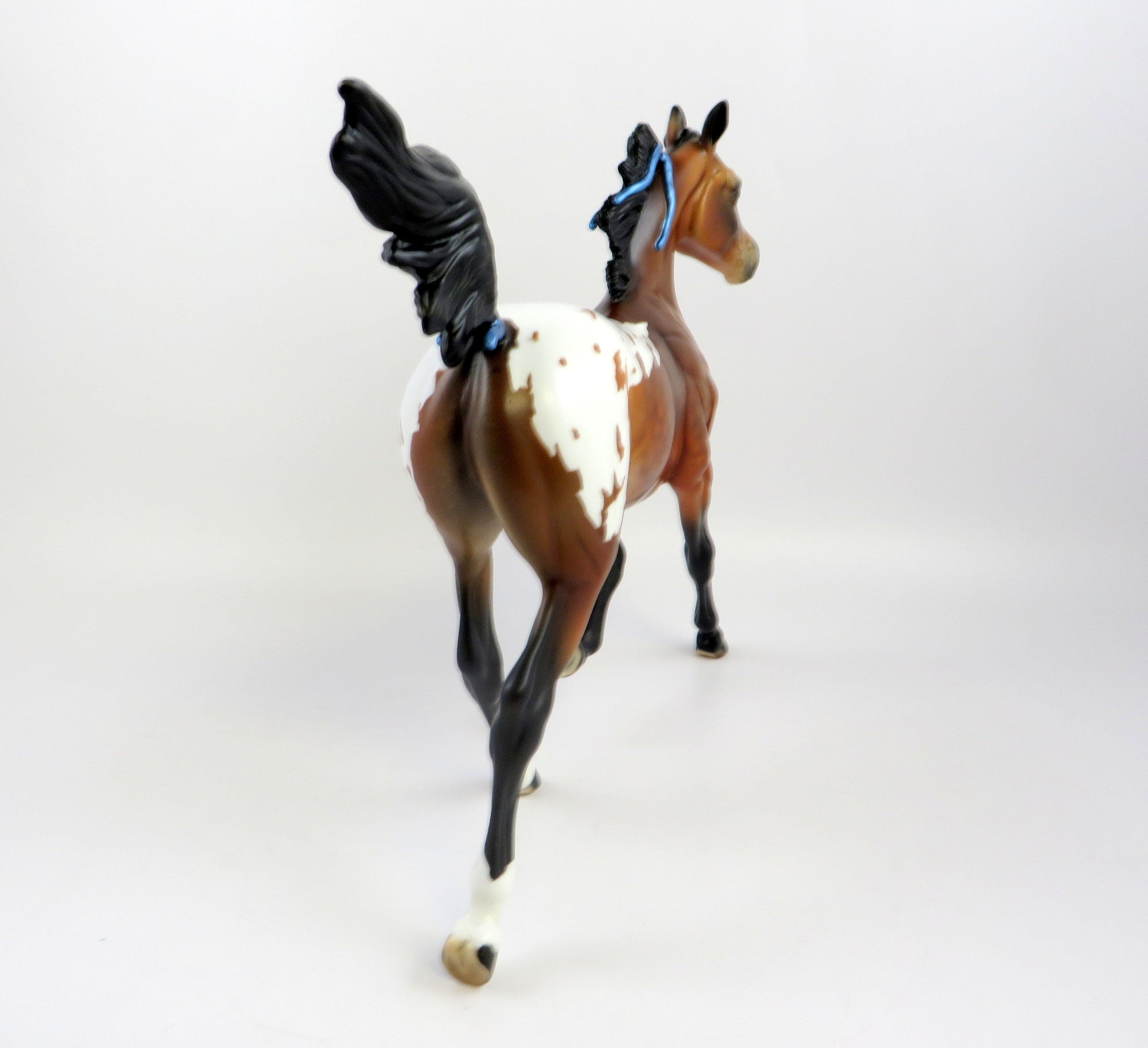 JOSSE-OOAK DAPPLE BAY APPALOOSA YEARLING WITH BLUE RIBBONS EQ 2019