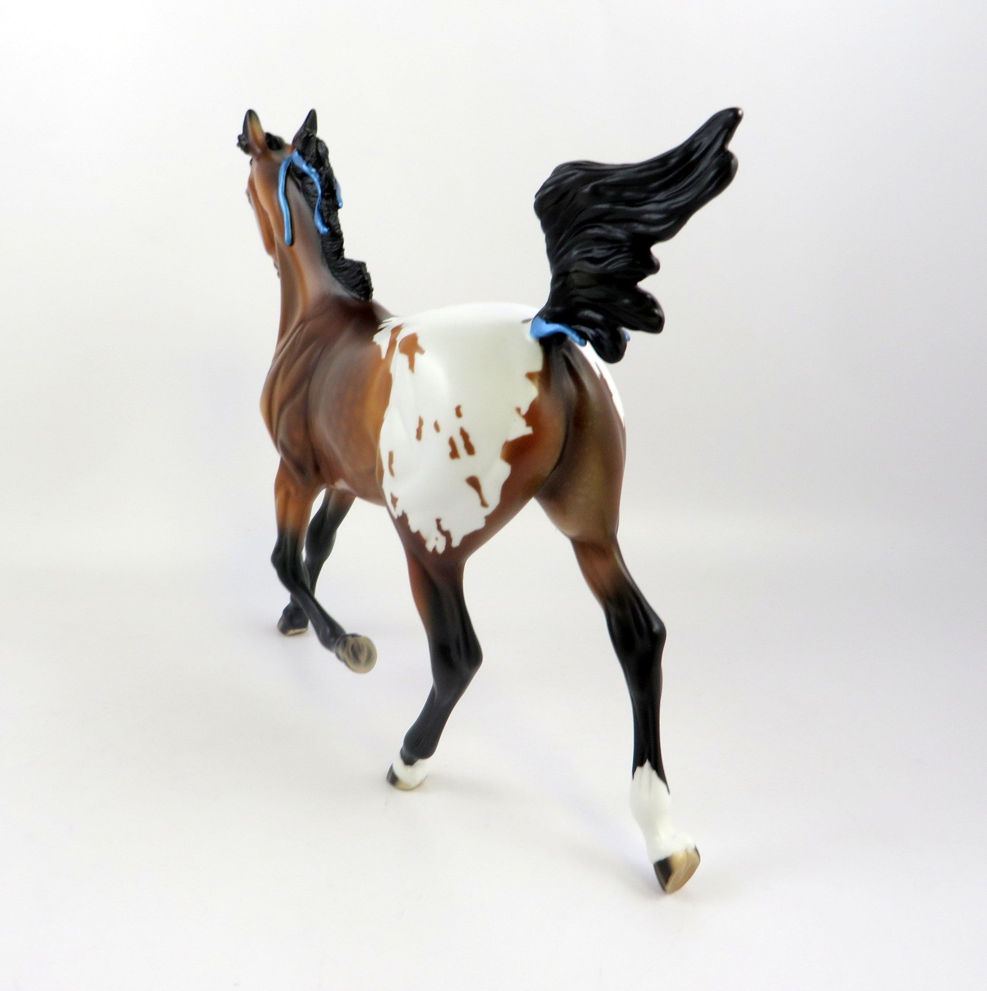 JOSSE-OOAK DAPPLE BAY APPALOOSA YEARLING WITH BLUE RIBBONS EQ 2019