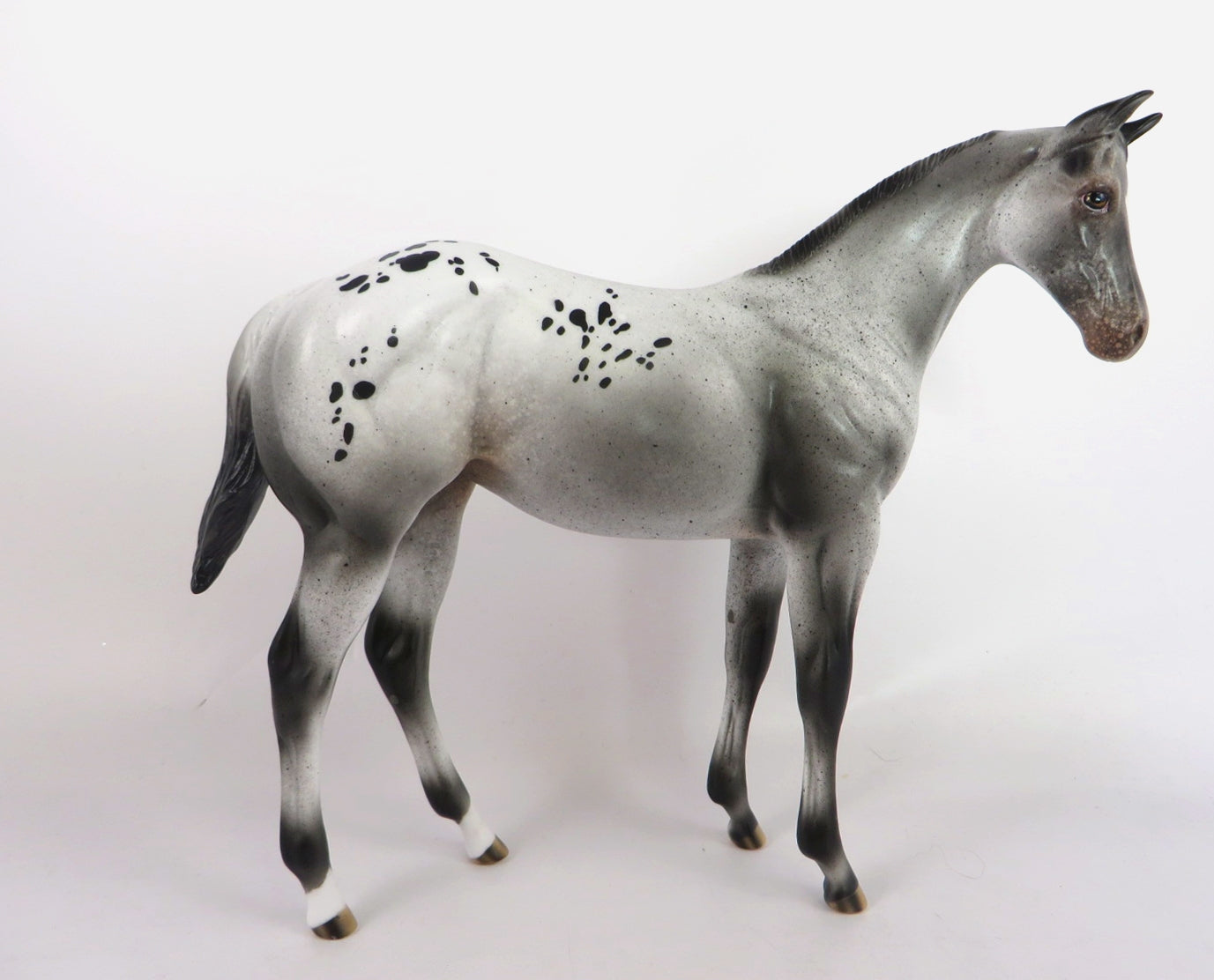 JOY -OOAK GREY APPY WEANLING MODEL HORSE BY AUDREY DIXON WHS19