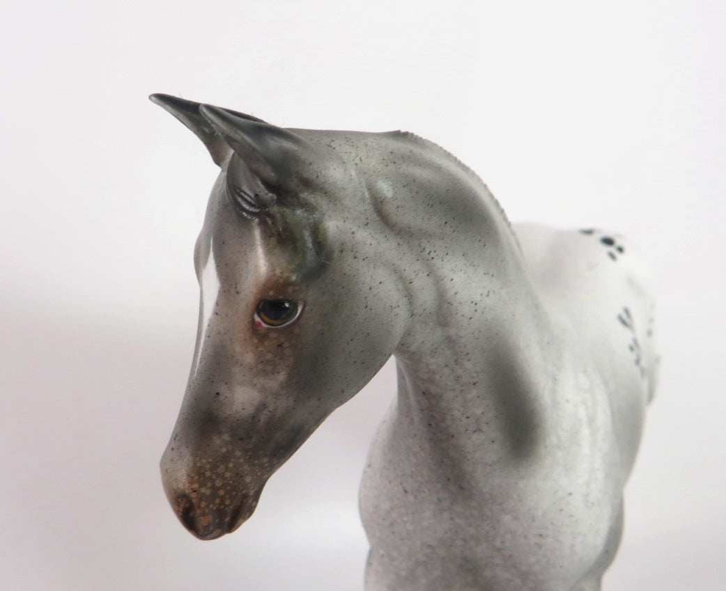 JOY -OOAK GREY APPY WEANLING MODEL HORSE BY AUDREY DIXON WHS19